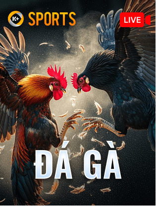 TA88 Đá Gà K-Sports